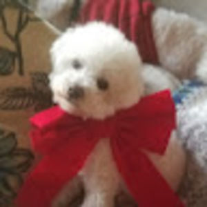 Meet your Posher, April